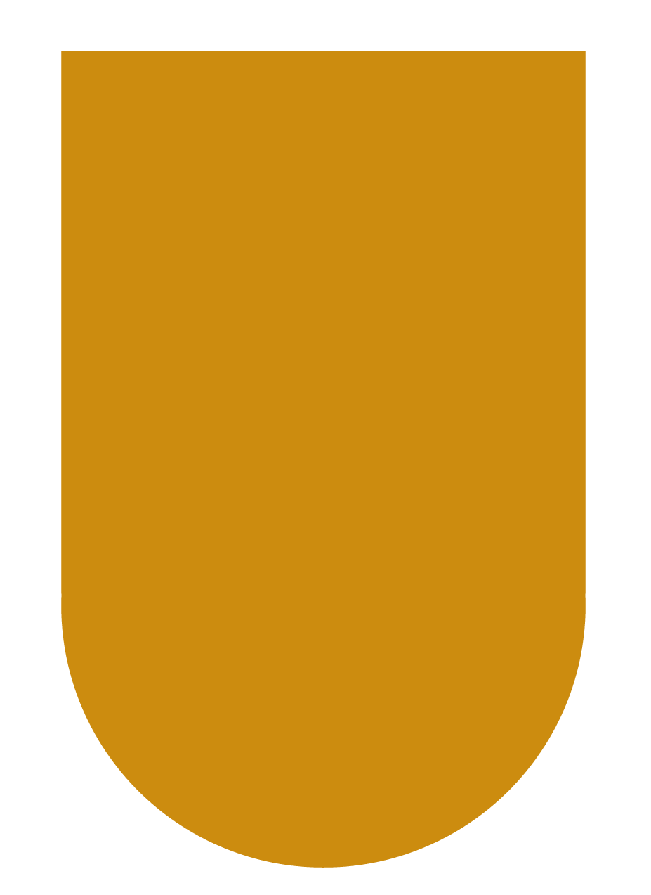 iconeGD3
